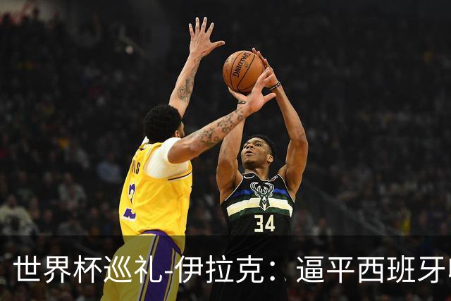 世界杯巡礼-伊拉克：逼平西班牙收获信心，伊拉克雄狮为尊严而战